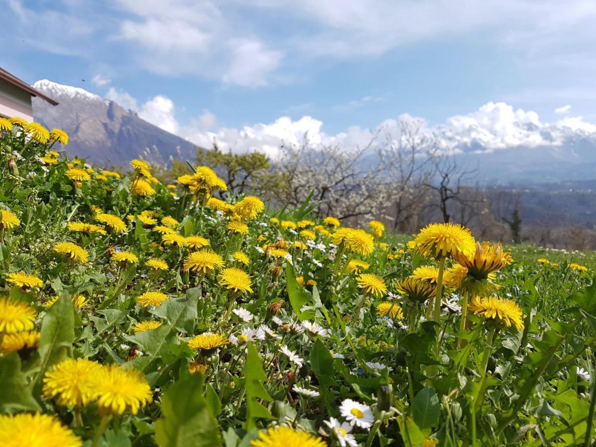 Agriturismo La Giasena Ponte nell'Alpi Ngoại thất bức ảnh