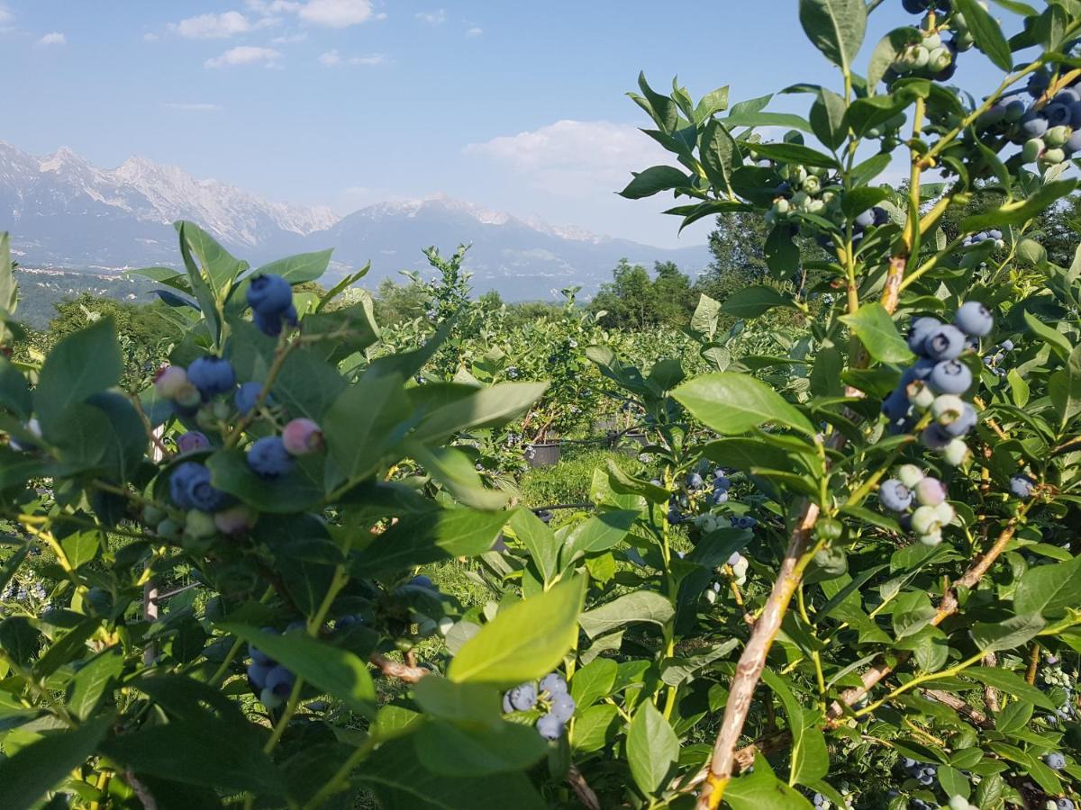 Agriturismo La Giasena Ponte nell'Alpi Ngoại thất bức ảnh
