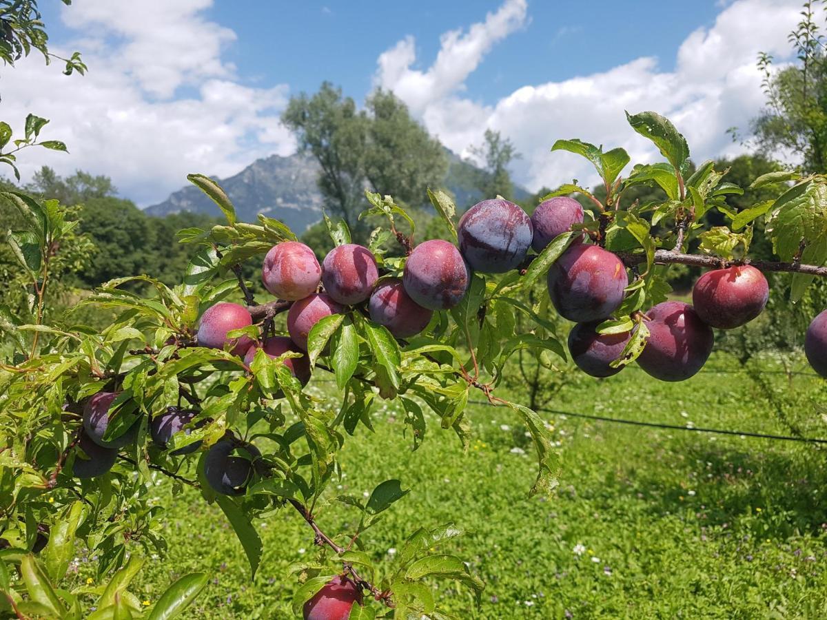 Agriturismo La Giasena Ponte nell'Alpi Ngoại thất bức ảnh